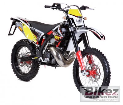 2010 GAS GAS EC 300 2TSix-Days photo